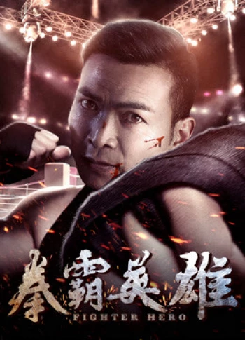 Anh hùng chiến đấu Fighter Hero