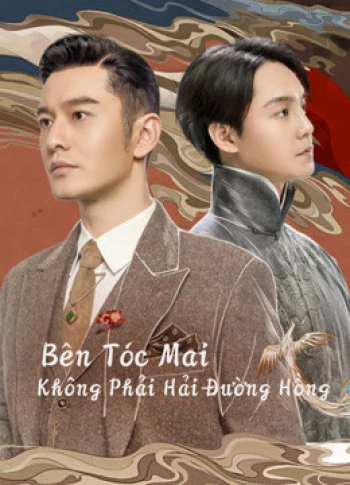Bên Tóc Mai Không Phải Hải Đường Hồng Winter Begonia