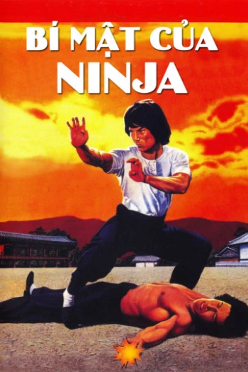 Bí Mật Của Ninja Ninja Knight 2: Roaring Tiger