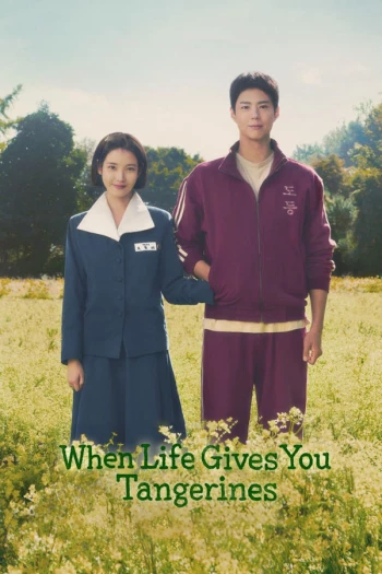 Khi Cuộc Đời Cho Bạn Quả Quýt When Life Gives You Tangerines