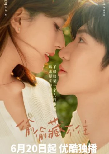 Vụng Trộm Không Thể Giấu Hidden Love